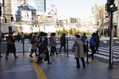 1-1_MG_5786_Canon-Standard_C10S5_5800K_RG+0_repairbrush+8_1280