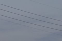 1-2_MG_9855_Canon-Neutral_C15S10_5700L_RG+3_repairbrush+2_1280-2