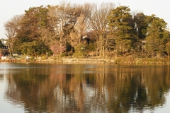 11-1_MG_5871_Canon-Standard_C10S5_6100K_RG+0_1280