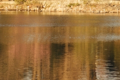 11-2-3_MG_5871_Canon-Standard_C10S5_6100K_RG+0_1280