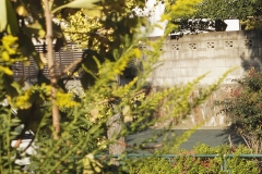 13-2-2_MG_9803_Canon-Neutral_C15S10_5750K_RG+3._1280jpg