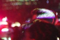 14-2-2_MG_5649_Canon-Neutral_C15S10_4850K_RG+4_1280