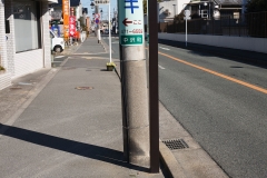 18-1_IMG_1686_Canon-Standard_C10S5_5300K_RG+4_1280