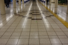 2-1_IMG_1008_Canon-Standard_C10S5_4000K_RG+35_level-242_1280