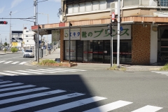 2-1_MG_6581_Canon-Neutral_C15S10_5500KRG+3_level-10_repairbrush+13_1280