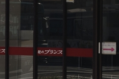 2-2_MG_6581_Canon-Neutral_C15S10_5500KRG+3_level-10_repairbrush+13_1280-2