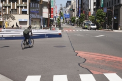 3-1_MG_9556_Canon-Standard_C10S5_5400K_RG+4_repairbrush+2_1280