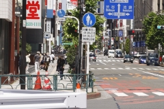 3-2_MG_9556_Canon-Standard_C10S5_5400K_RG+4_repairbrush+2_1280-2