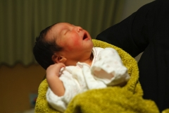 5-1_IMG_2545_Canon-Standard_C10S5_2750K_RG+5_level-240_1280