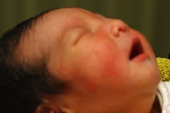 5-2_IMG_2545_Canon-Standard_C10S5_2750K_RG+5_level-240_1280-2