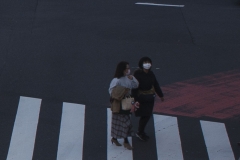 5-2_MG_3150_Canon-Standard_C10S5_6150K_RG+2_1280-cut4