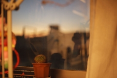 6-1_MG_9824__Canon-Neutral_C15S10_5850K_RG+4_level-253_1280