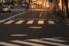 6-2_MG_4625_Canon-Standard_C10S5_6350K_RG+1_1280-3