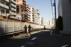 7-1_MG_6287_Canon-Standard_C10S5_6200K_RG+0_repairbrush+8_1280