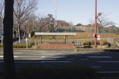 7-1_MG_9912_Canon-Neutral_C15S10_5650K_RG+3_repairbrush+many_1280