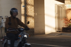 8-2_MG_9031_Canon-Standard_C10S5_6300K_RG+4_repairbrush+4_1280-2