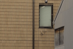 9-2_MG_9210_Canon-Neutral_C15S10_6000K_RG+3_1280-3