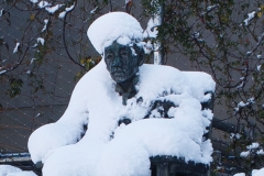 IMG_2411_Canon-Standard_C10S5_5550K_RG+2_1280-5