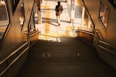 IMG_2956_Canon-Standard_C10S5_6350K_RG+4_1280