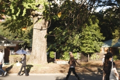 _MG_0341_Canon-Standard_C10S5_5750K_RG+4_1280