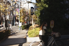 _MG_0831_Canon-Standard_C10S5_6050K_RG+4_1280