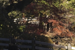 _MG_1188_Canon-Neutral_C15S10_5650K_RG+4_1280-6