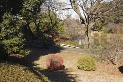 _MG_1188_Canon-Neutral_C15S10_5650K_RG+4_1280