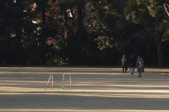 _MG_1214_Canon-Neutral_C15S10_6000K_RG+4_repairbrush+many_1280-4