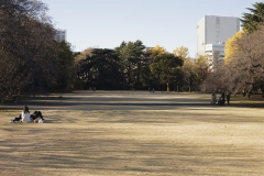 _MG_1214_Canon-Neutral_C15S10_6000K_RG+4_repairbrush+many_1280