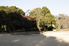 _MG_6465_Canon-Standard_C10S5_6000K_RG+1_repairbrush+7_1280