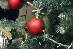 _MG_7465_Canon-Neutral_C15S10_6000K_RG+3_level-21_1280-2