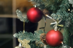 _MG_7465_Canon-Neutral_C15S10_6000K_RG+3_level-21_1280-3