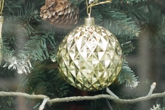 _MG_7465_Canon-Neutral_C15S10_6000K_RG+3_level-21_1280-4