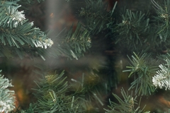 _MG_7465_Canon-Neutral_C15S10_6000K_RG+3_level-21_1280-5