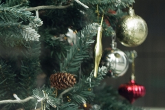 _MG_7465_Canon-Neutral_C15S10_6000K_RG+3_level-21_1280-6