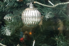 _MG_7465_Canon-Neutral_C15S10_6000K_RG+3_level-21_1280-7