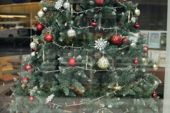 _MG_7465_Canon-Neutral_C15S10_6000K_RG+3_level-21_1280