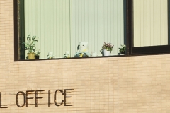 _MG_9043_Canon-Standard_C10S5_6250K_RG+4_1280-2