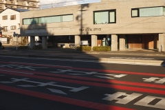 _MG_9043_Canon-Standard_C10S5_6250K_RG+4_1280