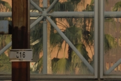 _MG_9607_Canon-Neutral_C15S10_6250K_RG+3_level-10_repairbrush+3_1280-3