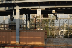 _MG_9607_Canon-Neutral_C15S10_6250K_RG+3_level-10_repairbrush+3_1280