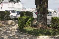 _MG_9622_Canon-Neutral_C15S10_5450K_RG+3_level-4_repairbrush+12_1280