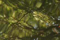 _MG_9659_Canon-Neutral_C15S10_6250K_RG+3_level-7_1280-2