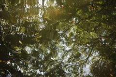 _MG_9659_Canon-Neutral_C15S10_6250K_RG+3_level-7_1280