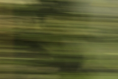 _MG_9728_Canon-Neutral_C15S10_5950K_RG+3_level-16-199_repairbrush+7_1280-4