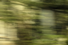 _MG_9728_Canon-Neutral_C15S10_5950K_RG+3_level-16-199_repairbrush+7_1280