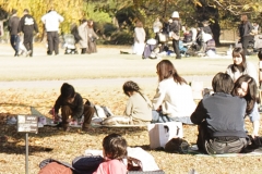 _MG_9761_Canon-Neutral_C15S10_6100K_RG+4_level-8_repairbrush+9_1280-3