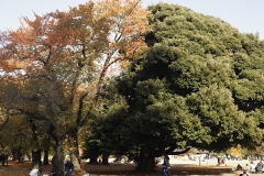 _MG_9761_Canon-Neutral_C15S10_6100K_RG+4_level-8_repairbrush+9_1280