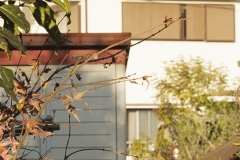 _MG_9901_Canon-Neutral_C15S10_6050K_RG+3_repairbrush+1_1280-3