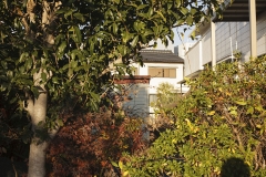 _MG_9901_Canon-Neutral_C15S10_6050K_RG+3_repairbrush+1_1280